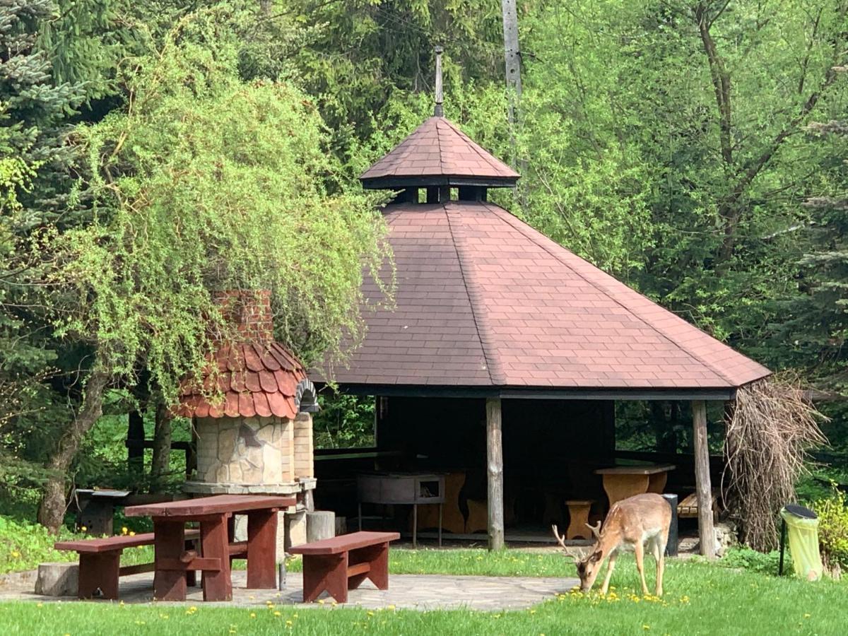 Gosciniec Pod Smrekami Bed & Breakfast Czorsztyn Eksteriør bilde