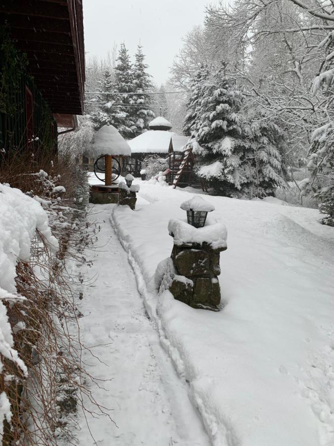Gosciniec Pod Smrekami Bed & Breakfast Czorsztyn Eksteriør bilde